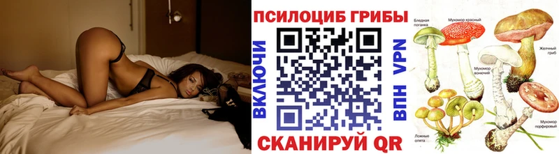 KRAKEN tor  Черноголовка  Псилоцибиновые грибы Psilocybe 
