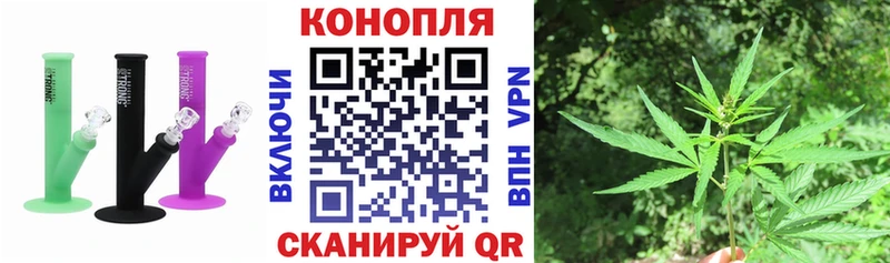 Бошки марихуана планчик  кракен онион  Черноголовка 